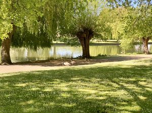 Photo 13- click for photo gallery